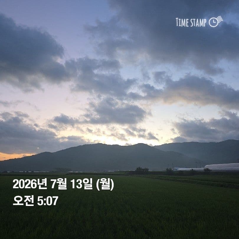 공개 영농일지 · 정식 16일차 첨부 이미지 1/5