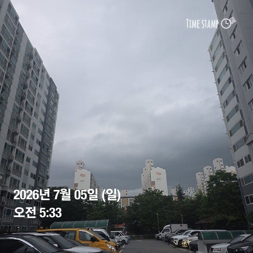공개 영농일지 · 정식 8일차 첨부 이미지 3/3