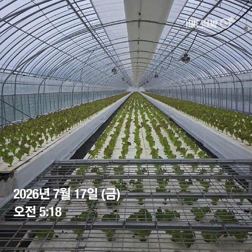 공개 영농일지 · 정식20일차 첨부 이미지 4/6