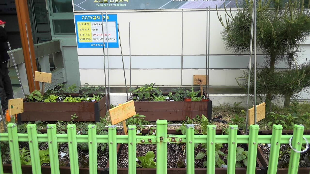 공개 영농일지 · 김텃밭 첨부 이미지