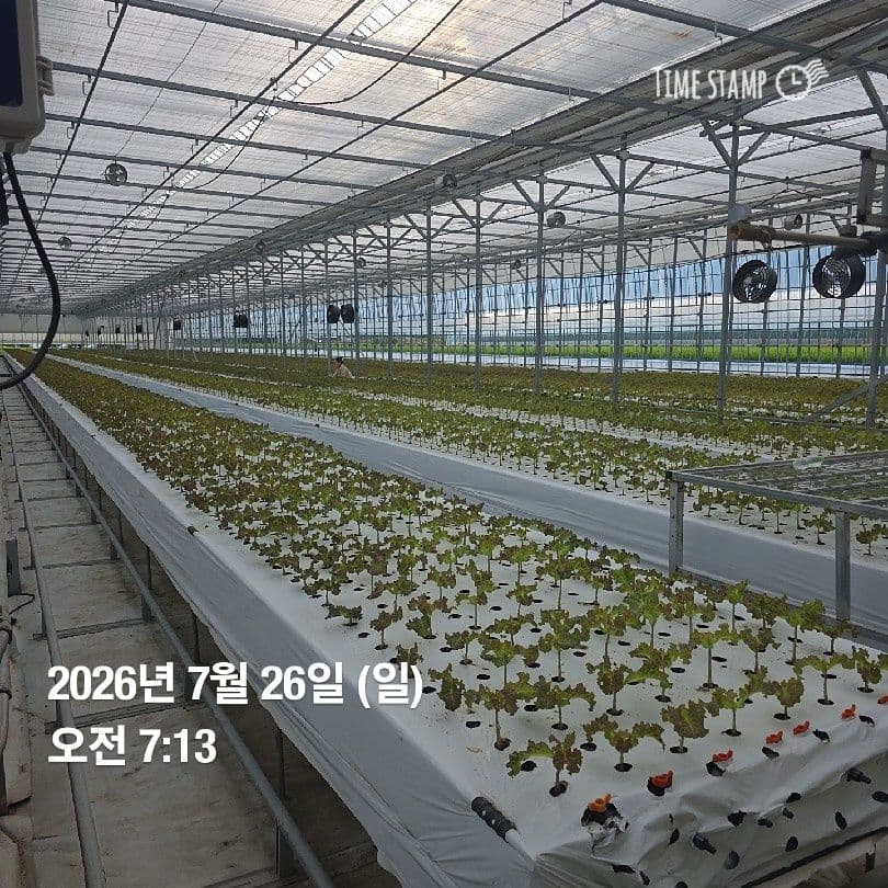 공개 영농일지 · 정식28일차 첨부 이미지 2/7