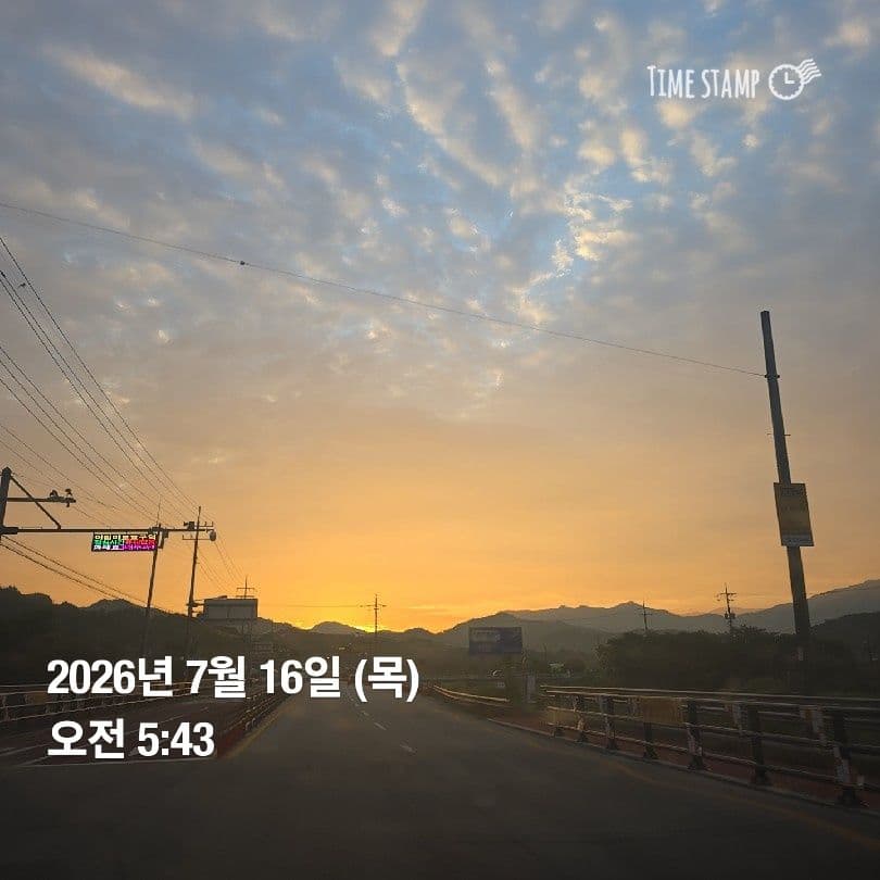 공개 영농일지 · 정식 19일차 첨부 이미지 1/10