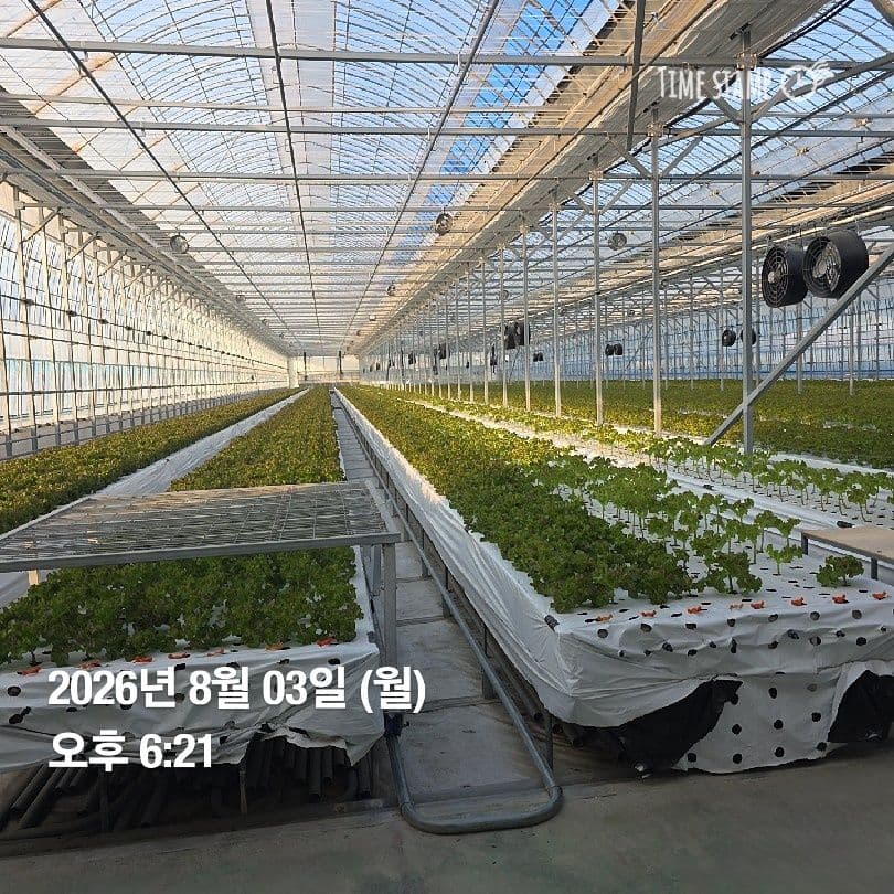 공개 영농일지 · 정식 36일차 첨부 이미지 1/3