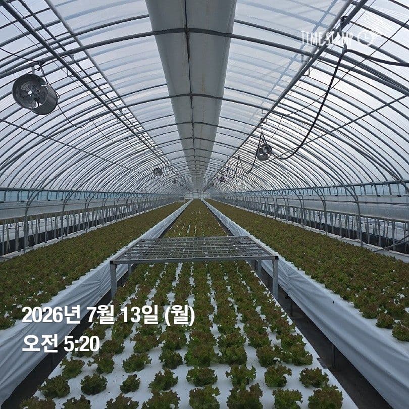 공개 영농일지 · 정식 16일차 첨부 이미지 3/5