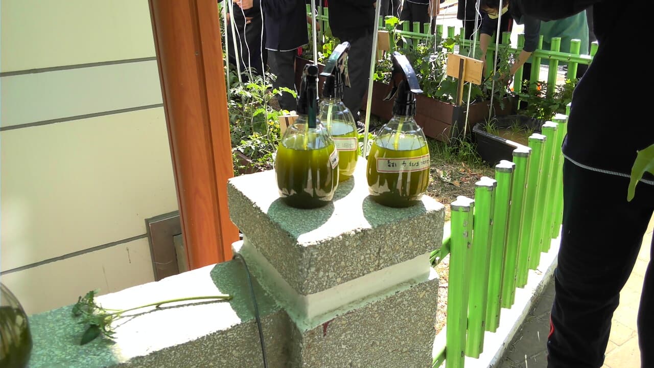 공개 영농일지 · 2026 5/13 수경재배 첨부 이미지 2/3