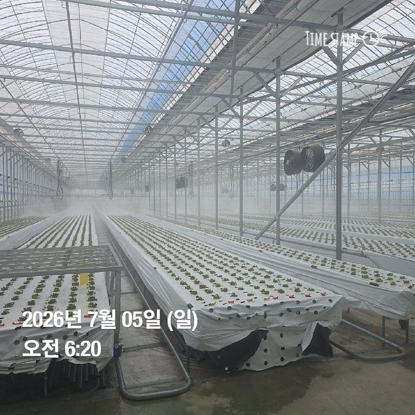 공개 영농일지 · 정식 8일차 첨부 이미지 1/3
