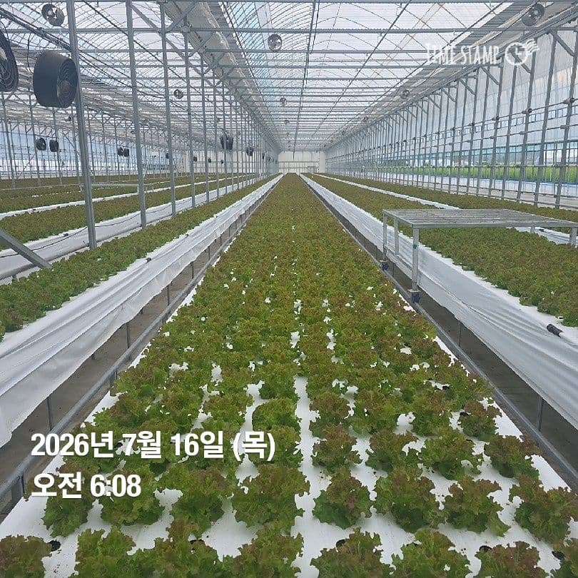 공개 영농일지 · 정식 19일차 첨부 이미지 3/10