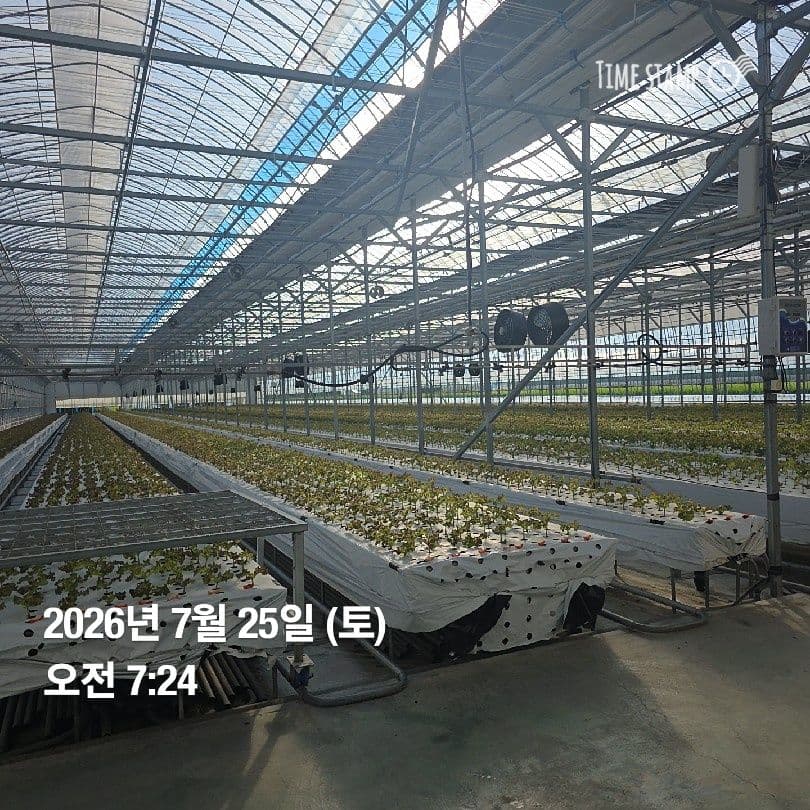 공개 영농일지 · 정식 27일차 첨부 이미지 5/6