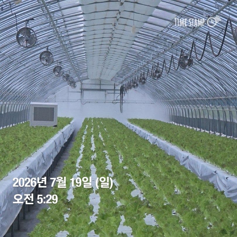 공개 영농일지 · 정식 22일차 첨부 이미지 3/4