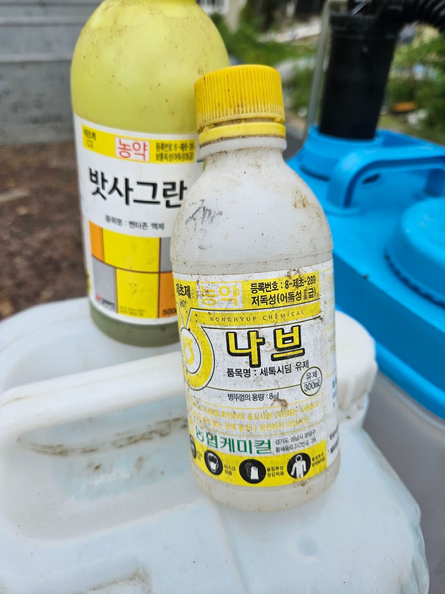 공개 영농일지 · 콩밭 돼지풀 해결책을 찾다 첨부 이미지 2/4