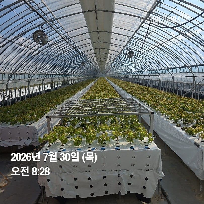 공개 영농일지 · 정십 32일차 첨부 이미지 3/4