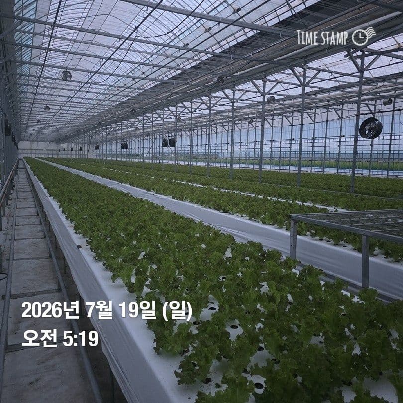 공개 영농일지 · 정식 22일차 첨부 이미지 1/4