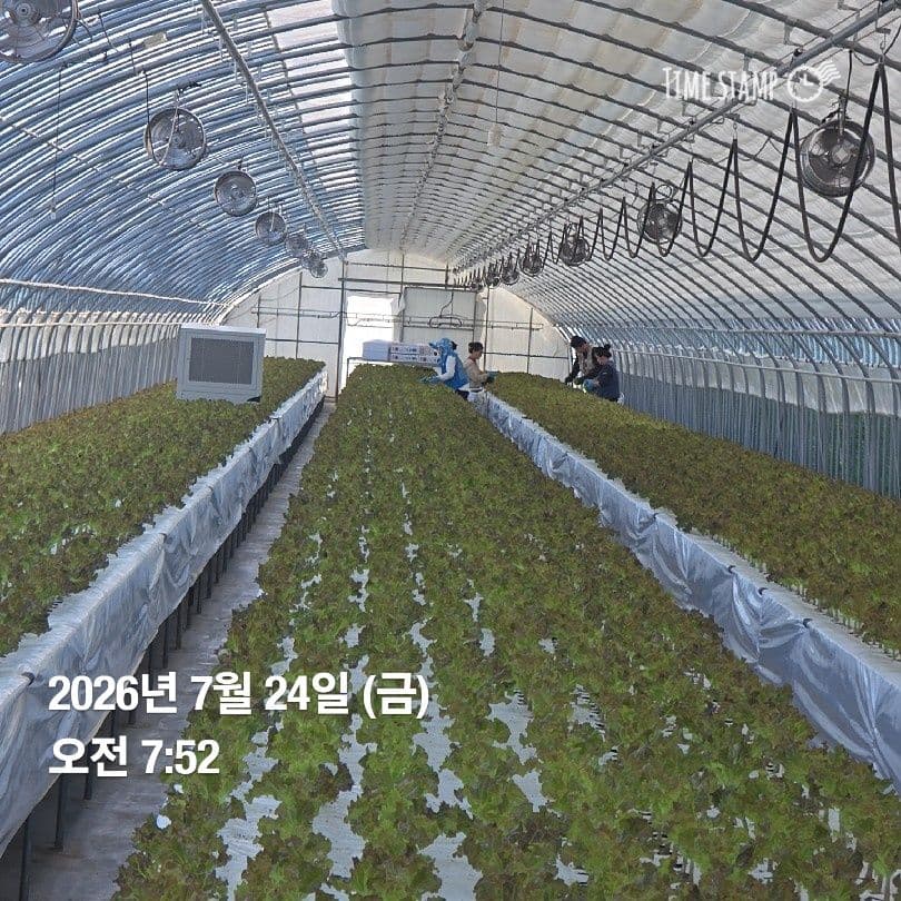 공개 영농일지 · 정식 26일차 첨부 이미지 8/10