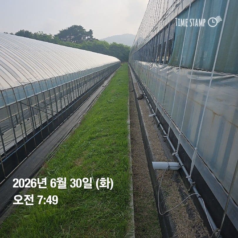 공개 영농일지 · 정식3일차 첨부 이미지 2/2