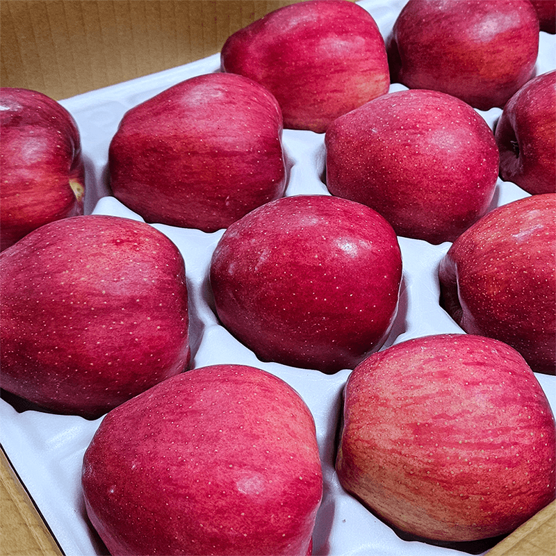 당도선별 햇사과 5kg/10kg